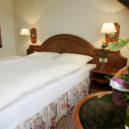 Hotel Wyndham Garden 4*