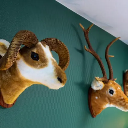 Wyndham Garden דונאו-אשינגן