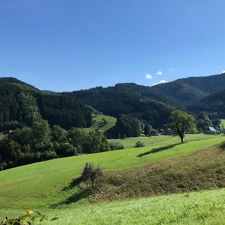 מלון Wyndham Garden 4*