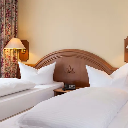 Wyndham Garden فندق دوناوشينغن