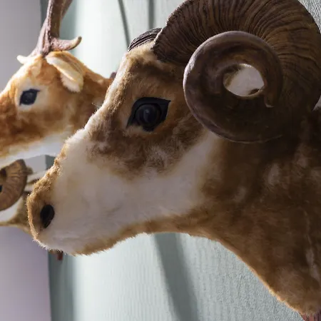 Wyndham Garden 4* דונאו-אשינגן