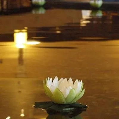 Wyndham Garden Hotel